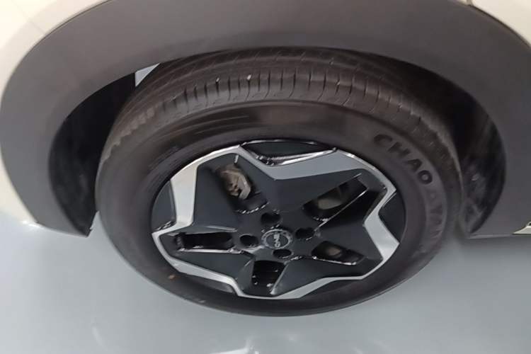 Used BYD Dolphin 2025 Smart Drive Version 420 km Freedom Edition Exterior 5