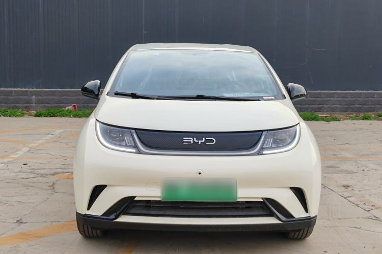 Used BYD Dolphin 2025 420km Free Edition Exterior 5