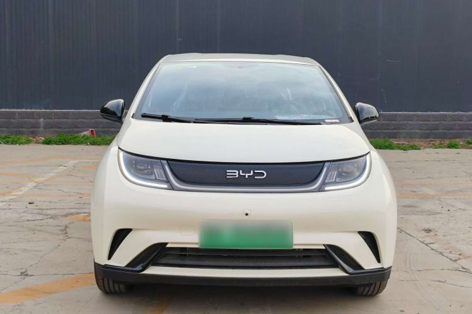 Used BYD Dolphin 2025 420km Free Edition Exterior 5