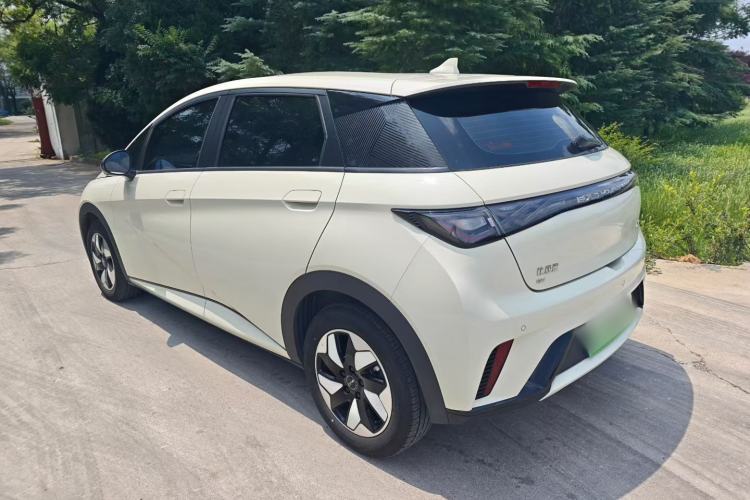 Used BYD Dolphin 2025 420km Free Edition Exterior 5