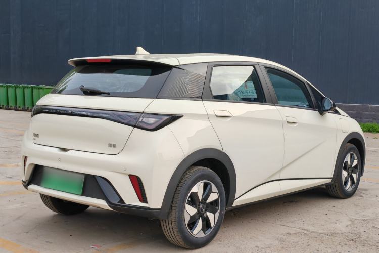 Used BYD Dolphin 2025 420km Free Edition Exterior 6