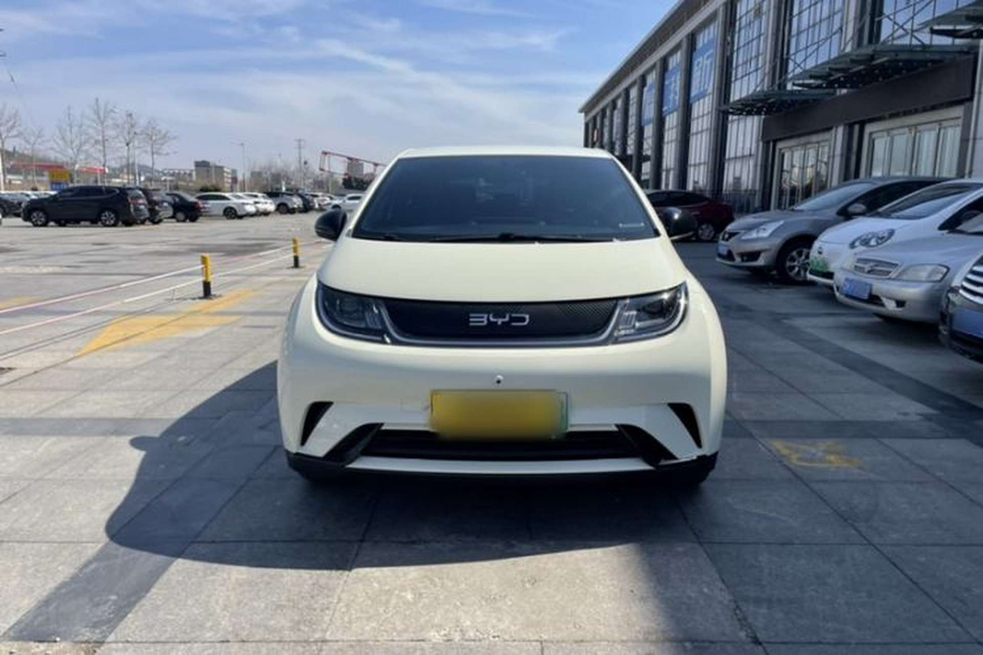 Used BYD Dolphin 2025 420km Free Edition Exterior 8