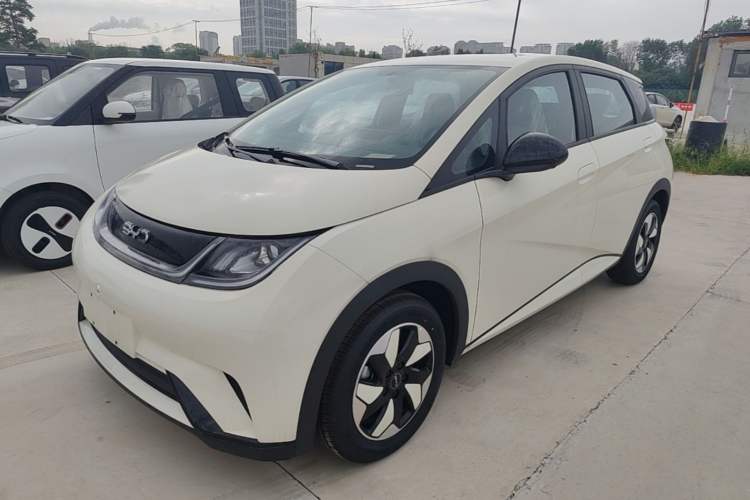 BYD Dolphin 2025 420km Free Edition