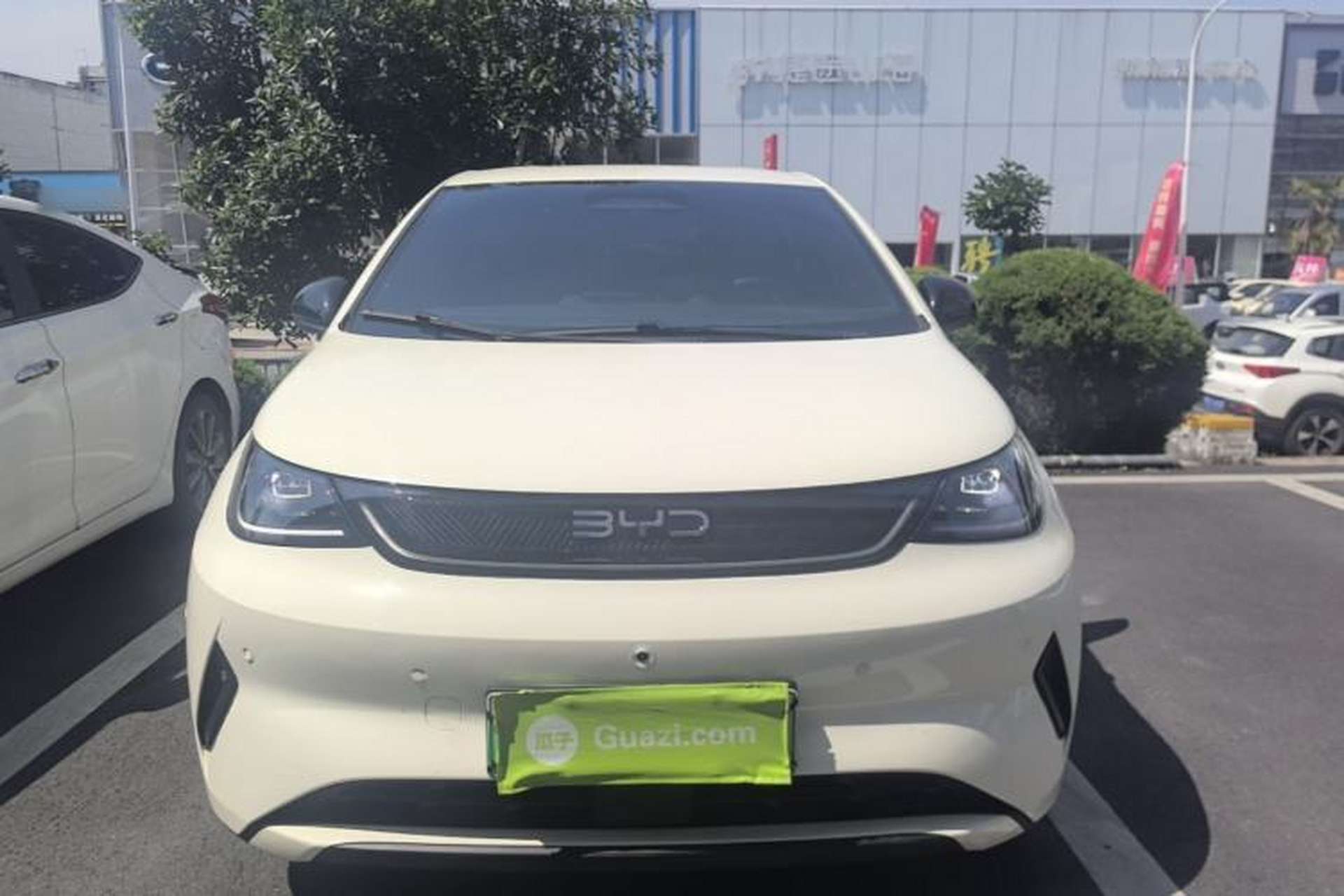 Used BYD Dolphin 2025 Smart Drive Version 420 km Freedom Edition Front
