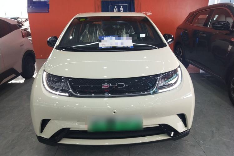 Used BYD Dolphin 2025 420km Free Edition Front