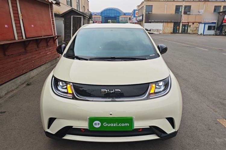Used BYD Dolphin 2025 420km Free Edition Front