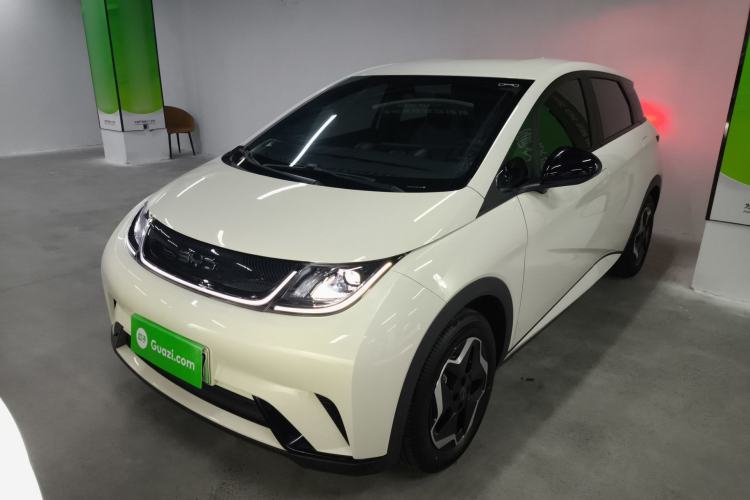 Used BYD Dolphin 2025 420km Active Version Front Left 45 Deg