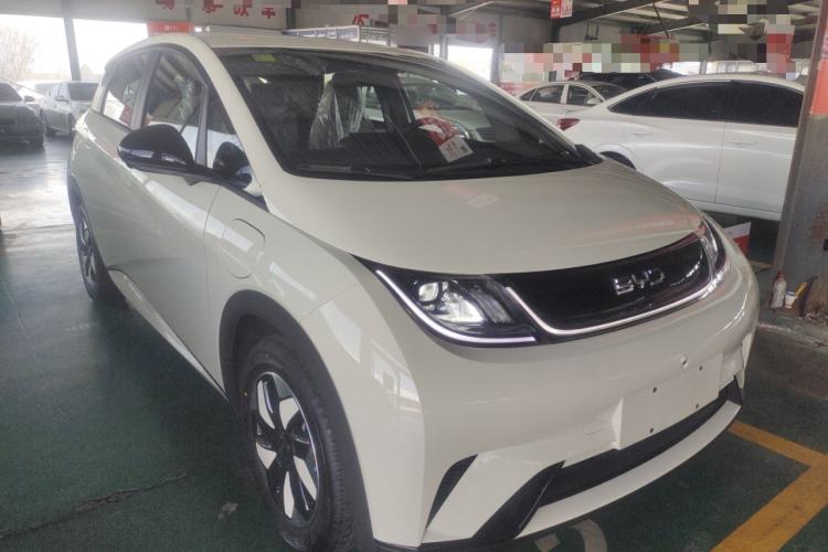 Used BYD Dolphin 2025 420km Free Edition Front Right 45 Deg