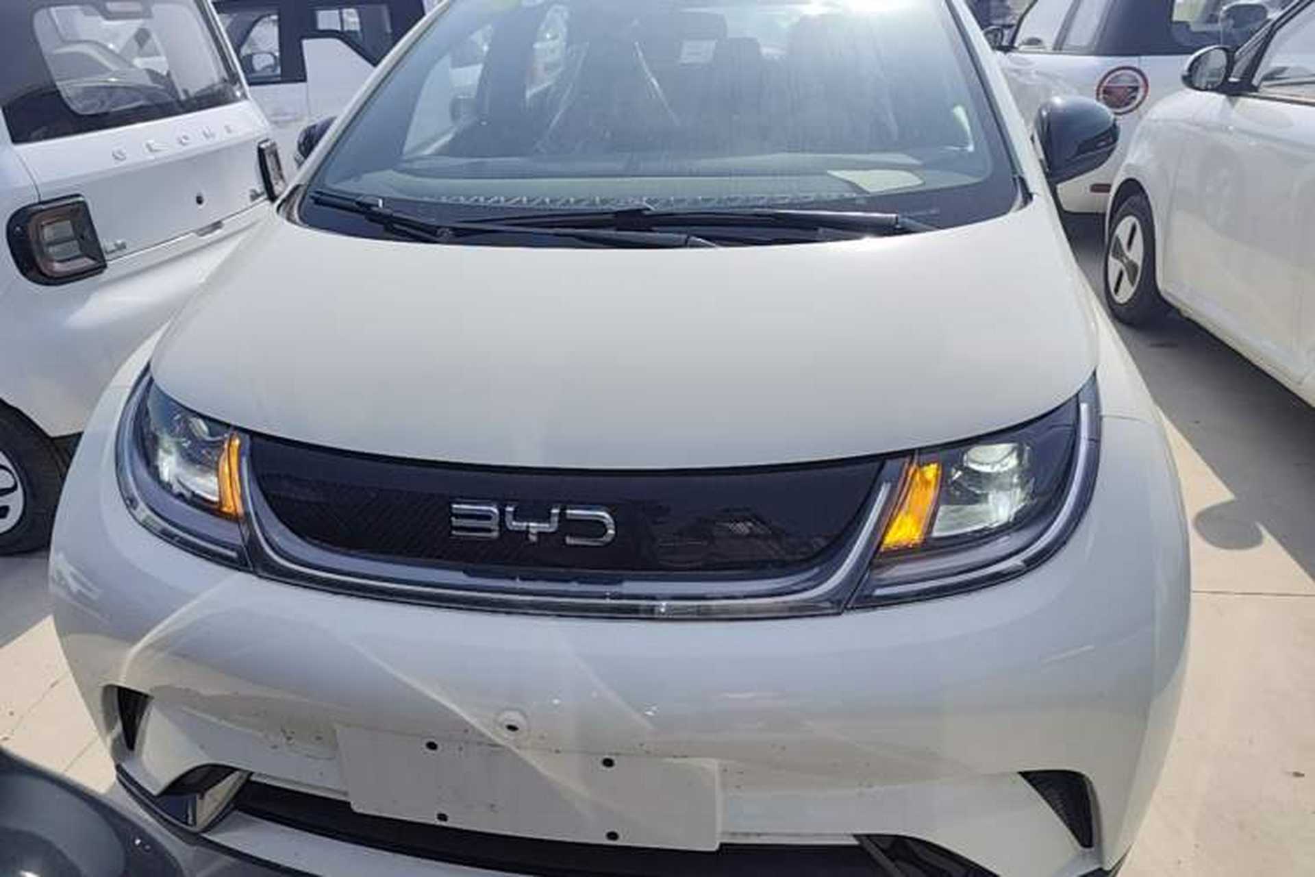 Used BYD Dolphin 2025 420km Free Edition Front
