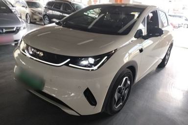 Used BYD Dolphin 2025 Smart Drive Version 420 km Freedom Edition