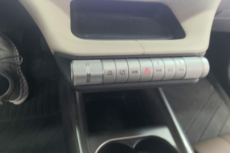 Used BYD Dolphin 2025 420km Free Edition Gear Lever