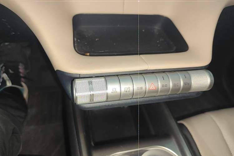 Used BYD Dolphin 2025 420km Free Edition Gear Lever