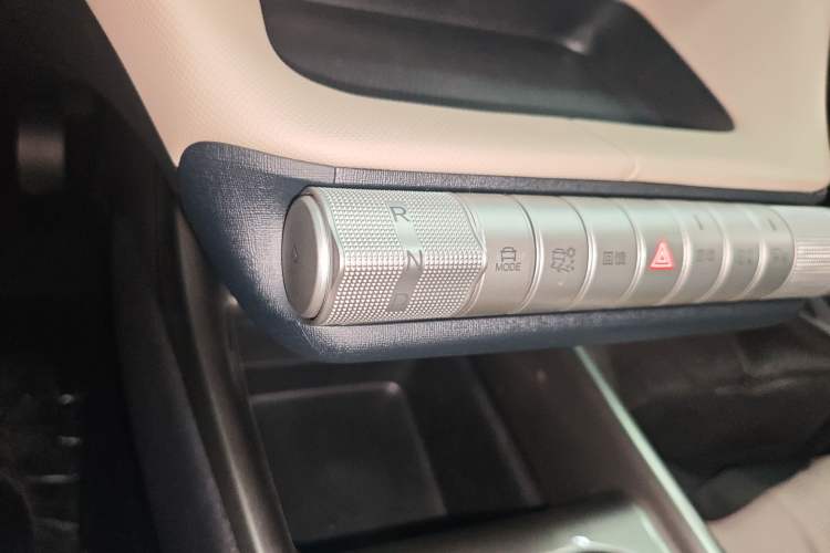 Used BYD Dolphin 2025 420km Free Edition Gear Lever