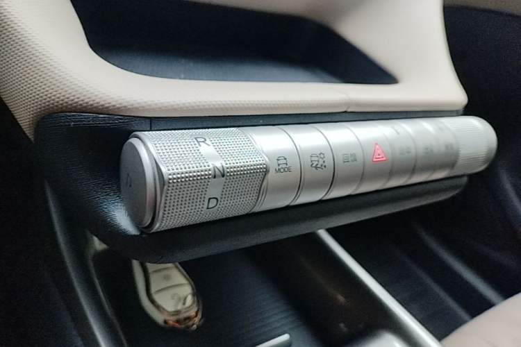 Used BYD Dolphin 2025 420km Free Edition Gear Lever