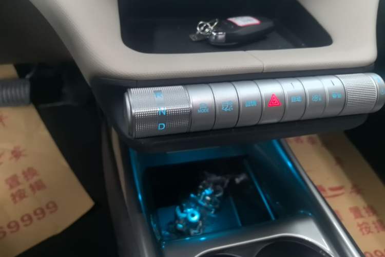 Used BYD Dolphin 2025 420km Free Edition Gear Lever