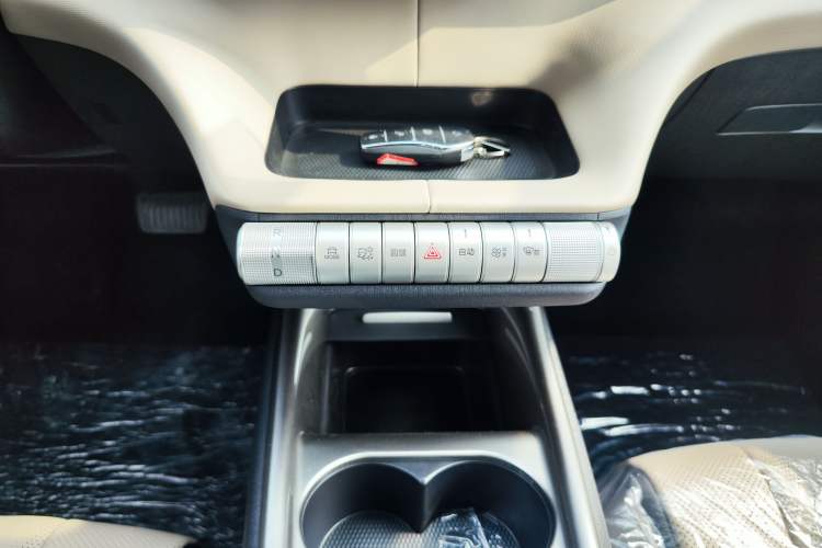 Used BYD Dolphin 2025 420km Free Edition Gear Lever