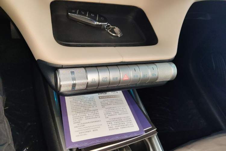 Used BYD Dolphin 2025 420km Free Edition Gear Lever