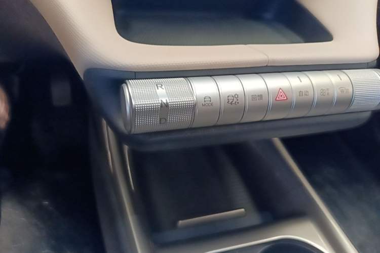 Used BYD Dolphin 2025 420km Free Edition Gear Lever