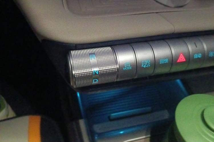 Used BYD Dolphin 2025 420km Free Edition Gear Lever