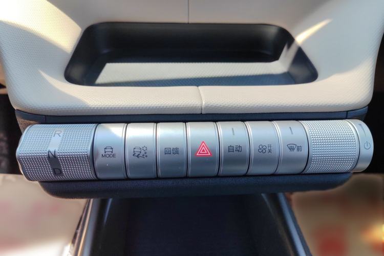 Used BYD Dolphin 2025 420km Free Edition Gear Lever