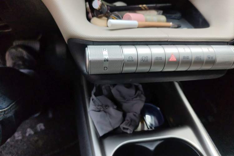 Used BYD Dolphin 2025 420km Free Edition Gear Lever