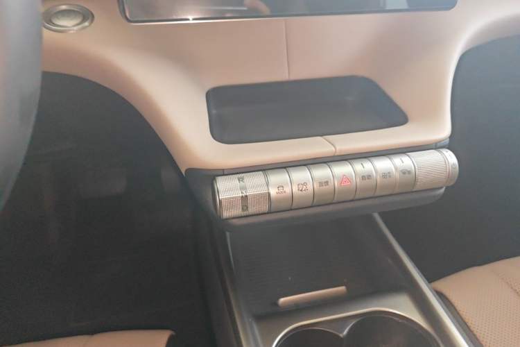 Used BYD Dolphin 2025 420km Free Edition Gear Lever