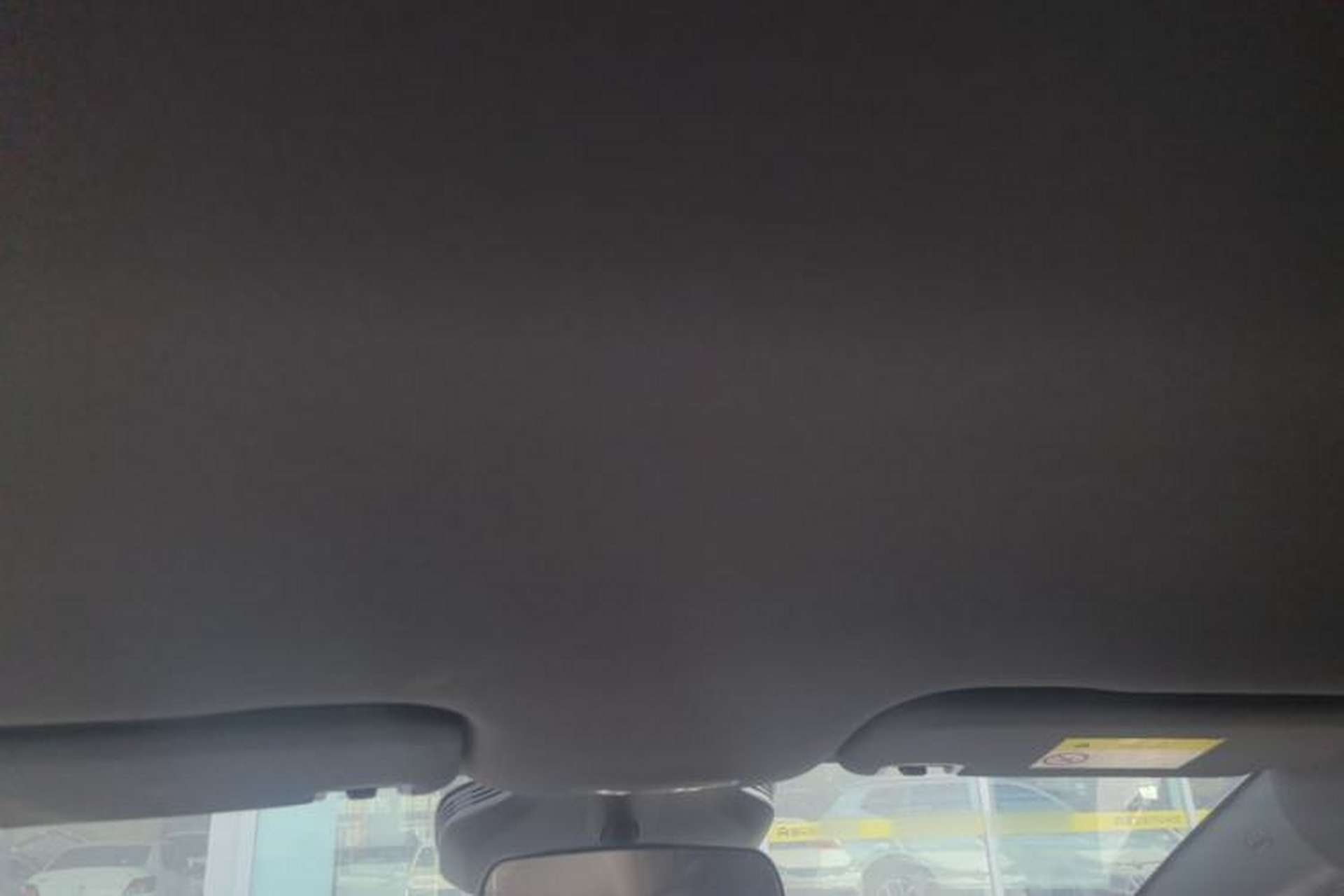 Used BYD Dolphin 2025 Smart Drive Version 420 km Freedom Edition Headliner
