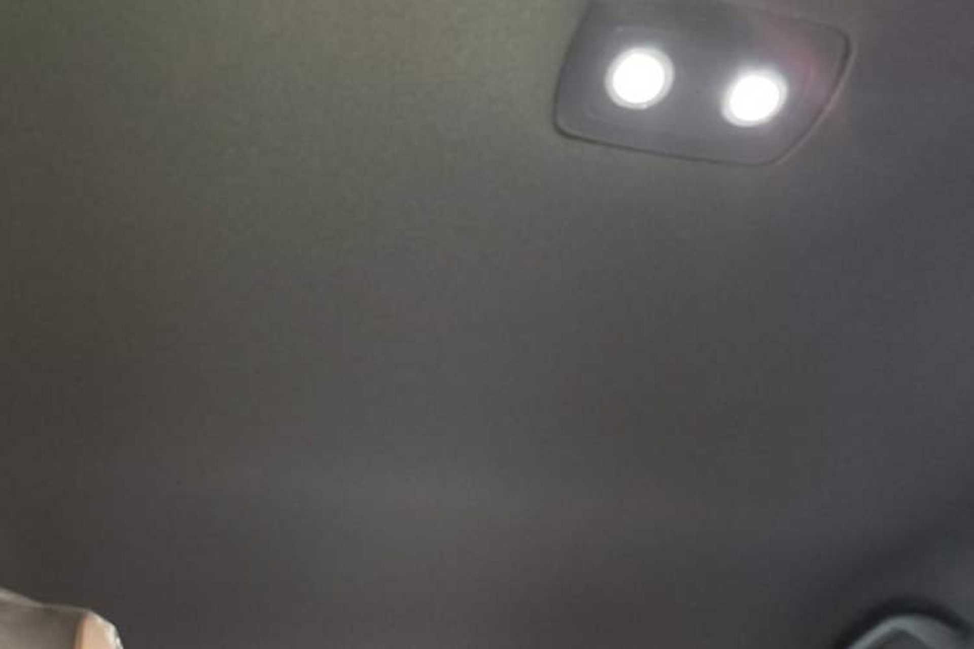 Used BYD Dolphin 2025 420km Free Edition Headliner