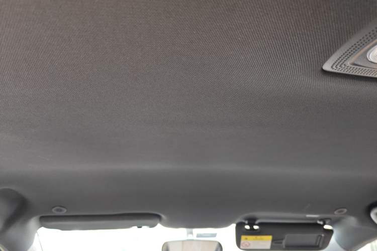 Used BYD Dolphin 2025 420km Free Edition Headliner