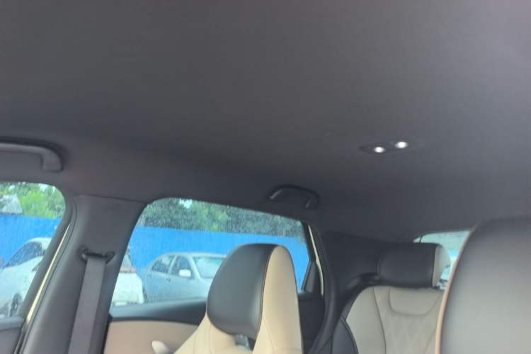 Used BYD Dolphin 2025 420km Active Version Headliner