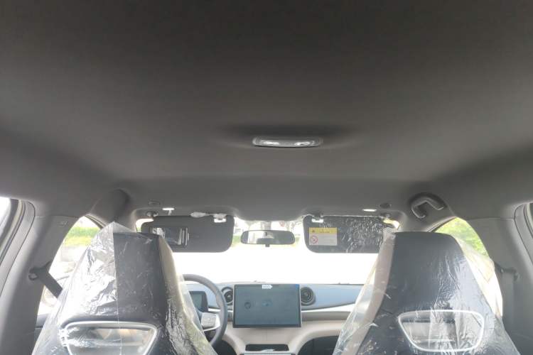 Used BYD Dolphin 2025 420km Free Edition Headliner