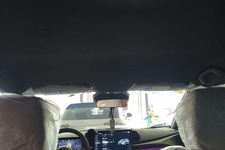Used BYD Dolphin 2025 Smart Drive Version 420 km Freedom Edition Headliner