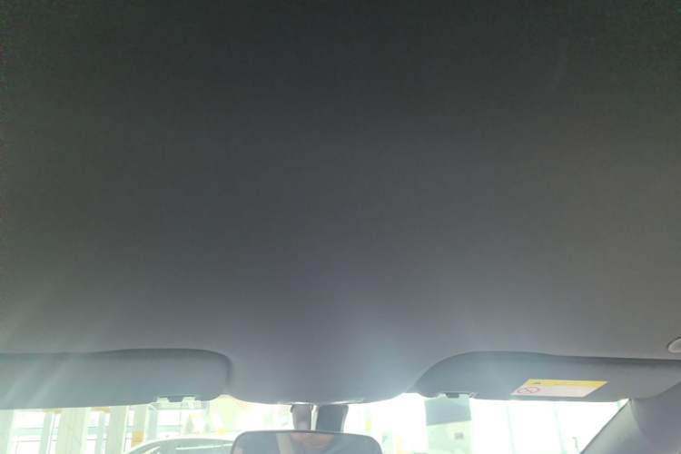 Used BYD Dolphin 2025 420km Free Edition Headliner