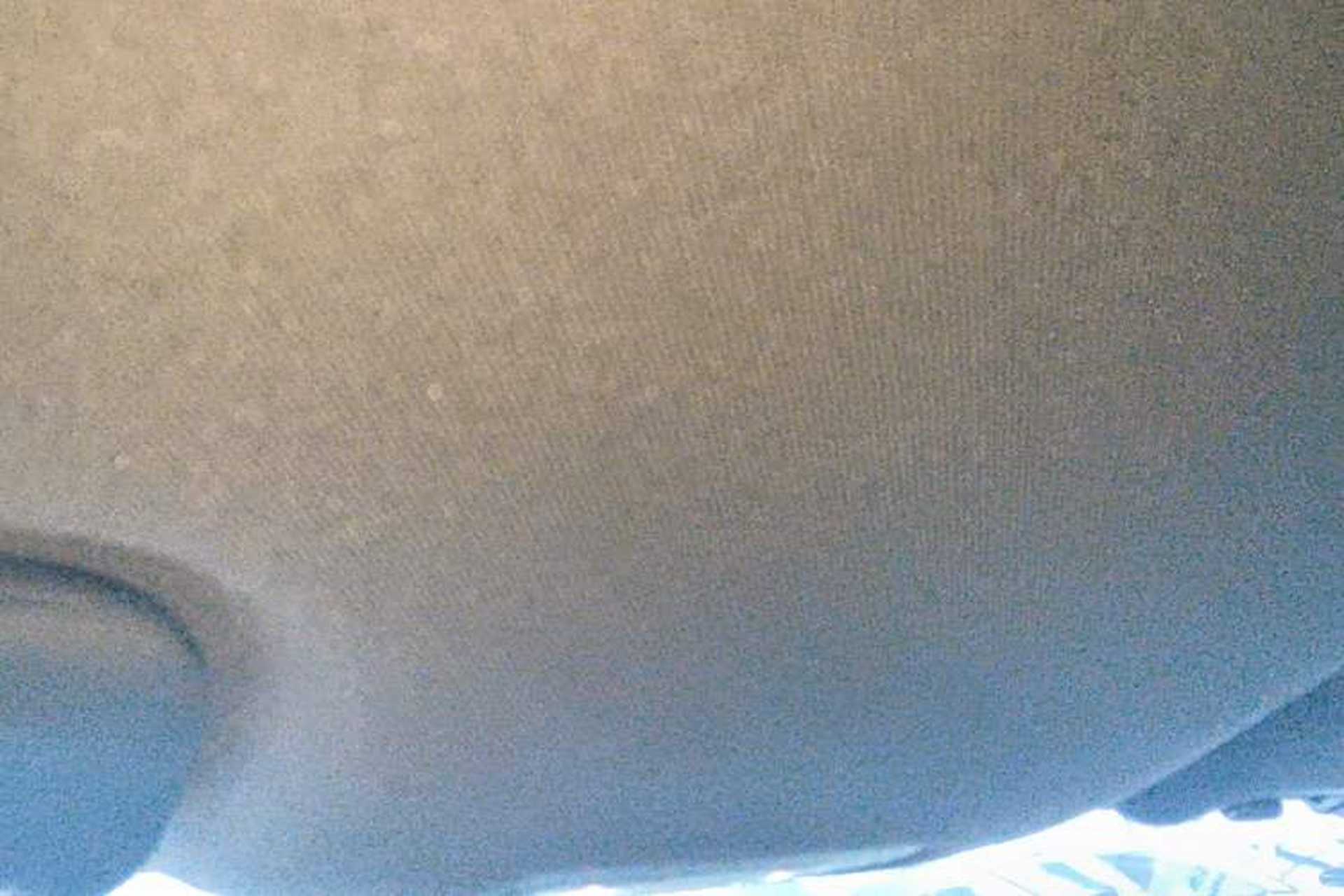 Used BYD Dolphin 2025 420km Free Edition Headliner