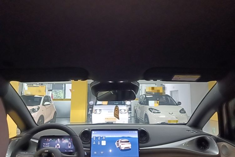 Used BYD Dolphin 2025 Smart Drive Version 420 km Freedom Edition Headliner