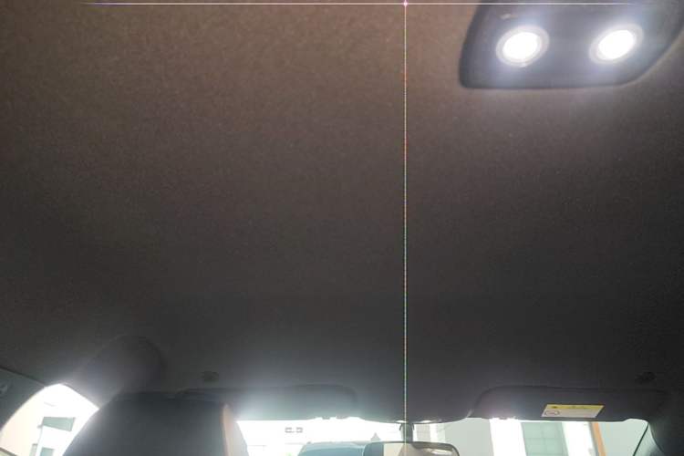 Used BYD Dolphin 2025 420km Free Edition Headliner