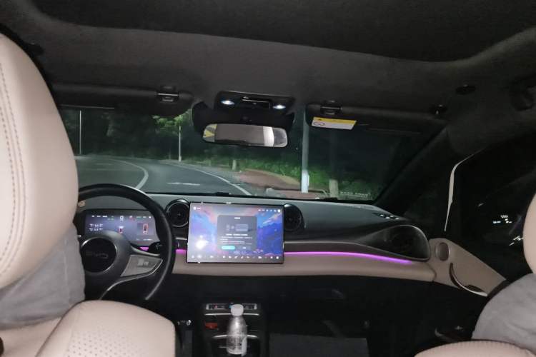 Used BYD Dolphin 2025 Intelligent Driving Version 520km Range Knight Edition Headliner