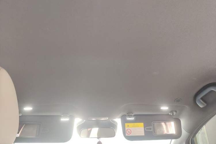 Used BYD Dolphin 2025 Smart Drive Version 420 km Freedom Edition Headliner