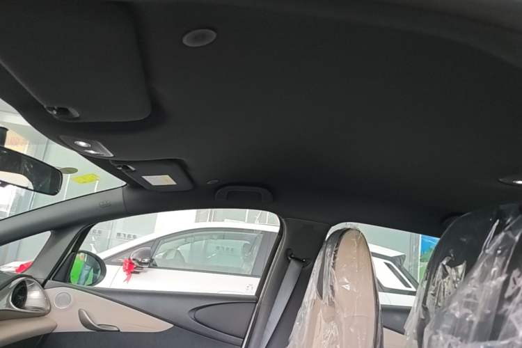 Used BYD Dolphin 2025 420km Free Edition Headliner