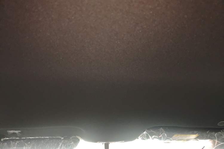 Used BYD Dolphin 2025 420km Free Edition Headliner