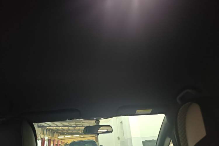 Used BYD Dolphin 2025 420km Free Edition Headliner