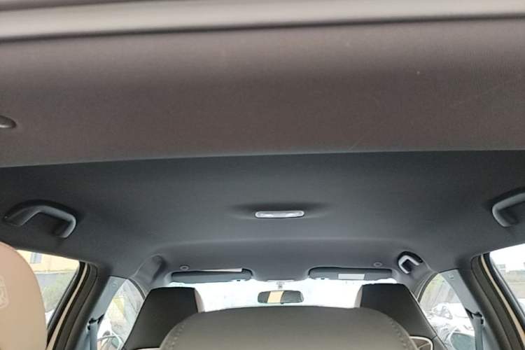Used BYD Dolphin 2025 420km Free Edition Headliner