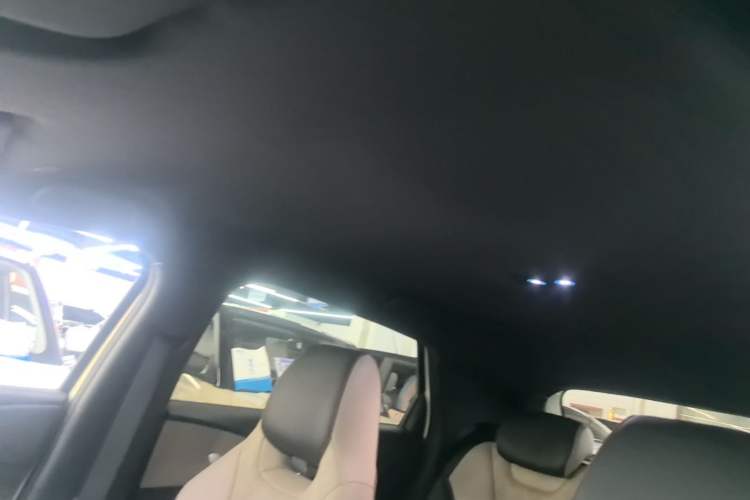 Used BYD Dolphin 2025 420km Free Edition Headliner
