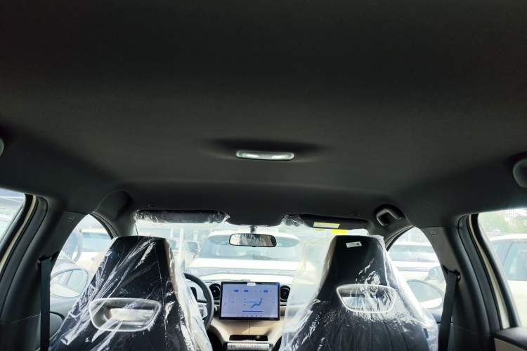 Used BYD Dolphin 2025 420km Free Edition Headliner