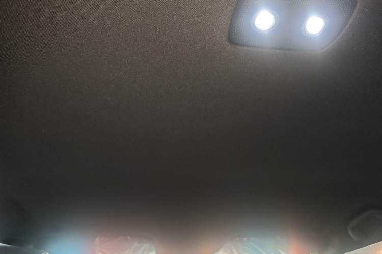 Used BYD Dolphin 2025 420km Free Edition Headliner