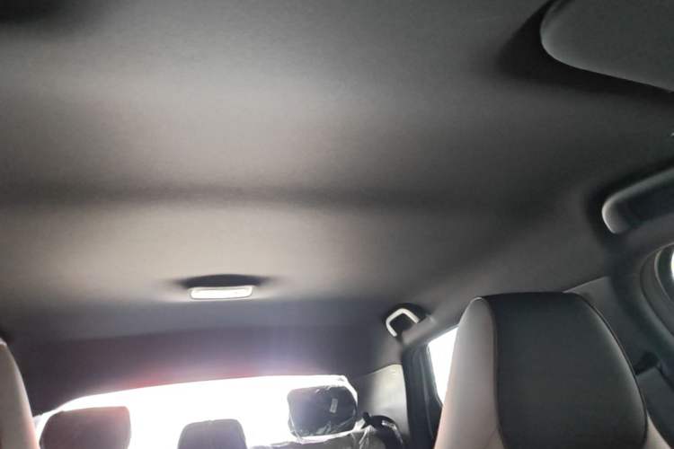 Used BYD Dolphin 2025 420km Free Edition Headliner