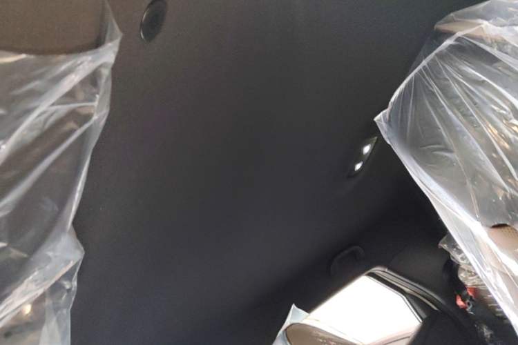Used BYD Dolphin 2025 420km Free Edition Headliner
