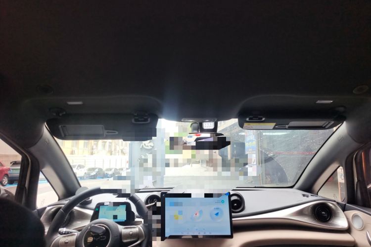 Used BYD Dolphin 2025 420km Free Edition Headliner