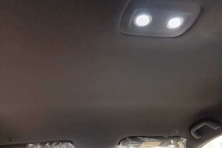 Used BYD Dolphin 2025 420km Free Edition Headliner