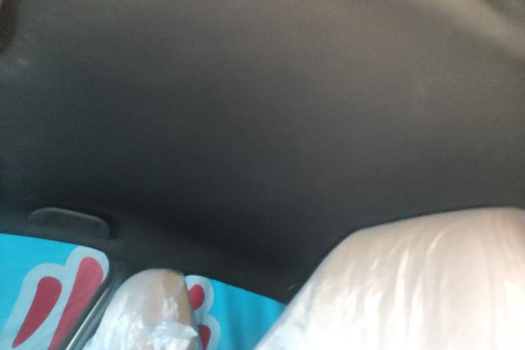 Used BYD Dolphin 2025 Smart Drive Version 420 km Freedom Edition Headliner